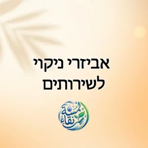 אביזרי ניקוי לשירותים (מברשות וכו׳)