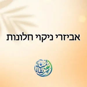 אביזרי ניקוי חלונות