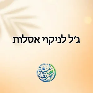 ג’ל לניקוי אסלות