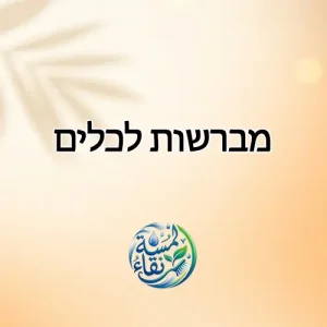 מברשות לכלים