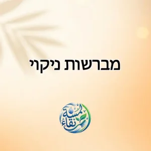 מברשות ניקוי
