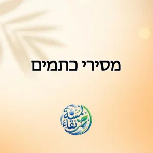 מסירי כתמים