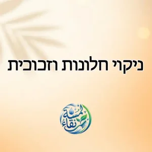 ניקוי חלונות וזכוכית