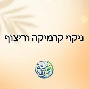 ניקוי קרמיקה וריצוף