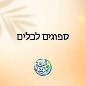 ספוגים לכלים